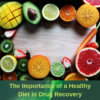 The Importance of a Healthy Diet in Drug Recovery